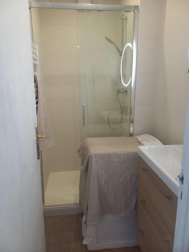 une salle de bain avec douche et lavabo dans l'établissement Charmant appartement aux chalets, à Toulouse
