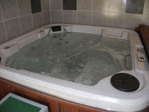 a jacuzzi tub with a sink in it at Gîte La Forge De Clermont in Clermont