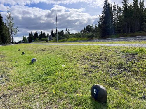 a field of grass with a number on the side of a road at Bjork Guesthouse in Laugarvatn