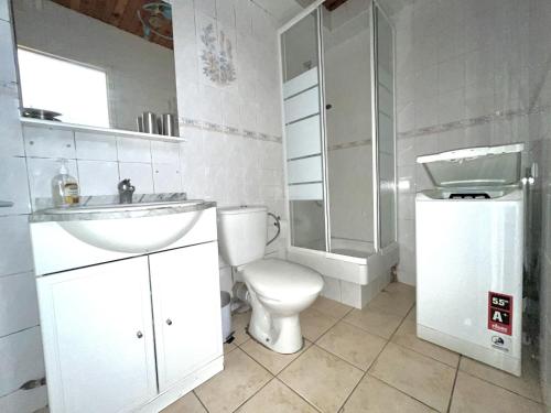une salle de bain avec toilettes, lavabo et douche dans l'établissement Appartement T2 avec terrasse, parking privé, à 600m de la plage - Idéal famille et animaux admis - FR-1-309-477, à Saint-Cyprien