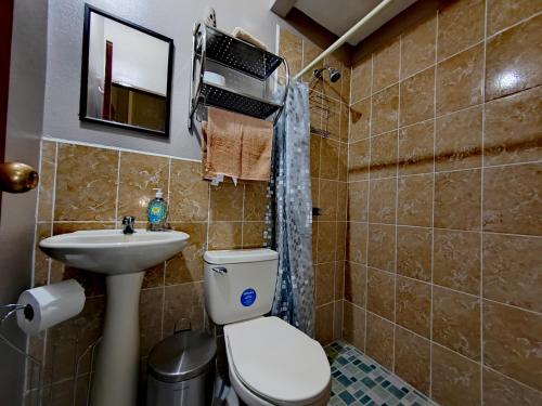 a bathroom with a toilet and a sink at Hostal La Campana in San Miguel