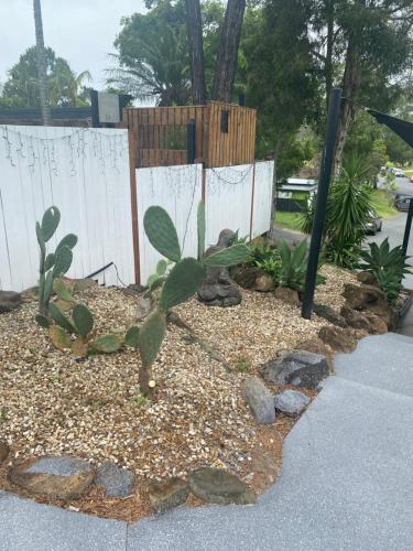 Gallery image of Bee Cottage in Gold Coast
