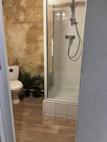 une salle de bain avec douche et toilettes dans l'établissement Centre historique quartier piéton, à Montpellier