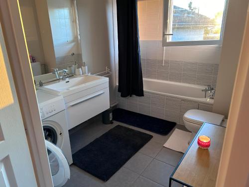 une salle de bain avec un lavabo et une machine à laver dans l'établissement Appartement Résidence du Lac Léman Terasse-Wifi-Netflix-Parking, à Publier