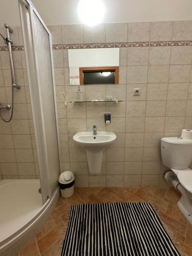 a bathroom with a sink and a toilet and a shower at Pivovarsky Hotel Kojetín u Kroměříže in Kojetín