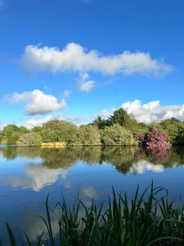 a view of a lake with trees and clouds at Lakeside Glamping Kingfisher in Saint Columb Major