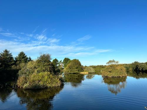 a river with trees on the side of it at Lakeside Glamping Kingfisher in Saint Columb Major