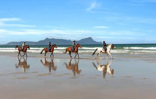 a group of people riding horses on the beach at Moko Hiwi Escape Ruakākā- Huia Suite in Ruakaka