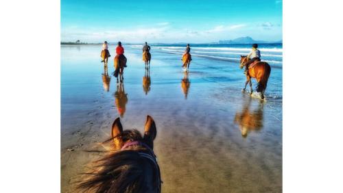 a group of people riding horses on the beach at Moko Hiwi Escape Ruakākā- Huia Suite in Ruakaka