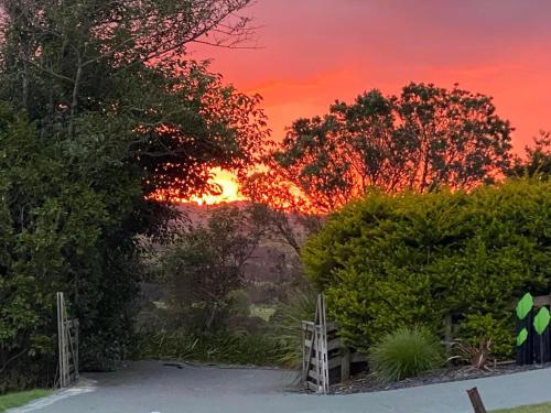 a sunset over a driveway with trees and a fence at Moko Hiwi Escape Ruakākā- Huia Suite in Ruakaka