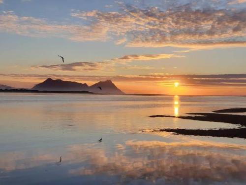 a sunset with birds flying over the water at Moko Hiwi Escape Ruakākā- Huia Suite in Ruakaka