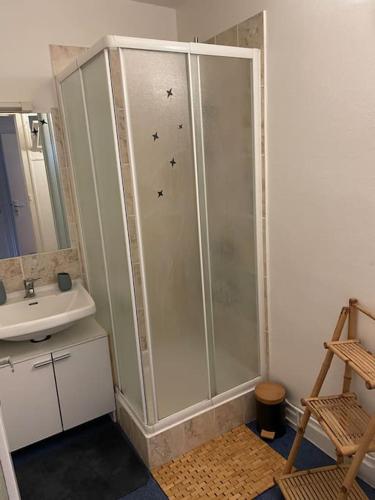 une salle de bain avec douche et lavabo dans l'établissement Appart, chantier naval, très cosy et vintage, à Saint-Nazaire