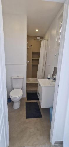 Bilik mandi di Studio moderne à Cuges-les-Pins - 27 m² avec jardin privé