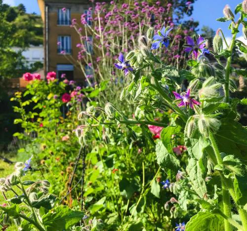 Un jardín fuera de Green Home - La Roche-Guyon - Adults Only