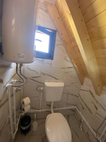a small bathroom with a toilet and a window at Podgora 1 in Žabljak