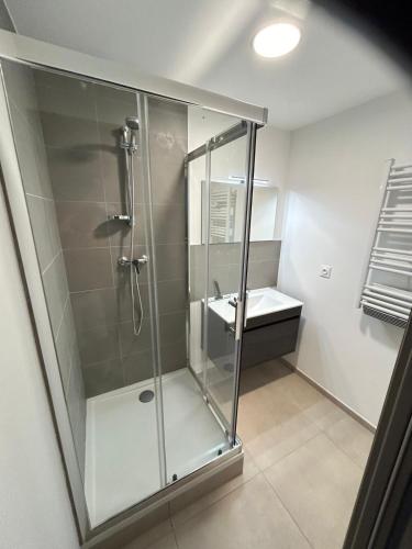 une douche en verre dans une salle de bain avec un lavabo dans l'établissement Joli T2 chez Mumu, à Saint-Donat-sur-lʼHerbasse
