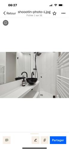 une page d'un site Web avec un lavabo dans une pièce dans l'établissement Appartement design au cœur de paris, à Paris