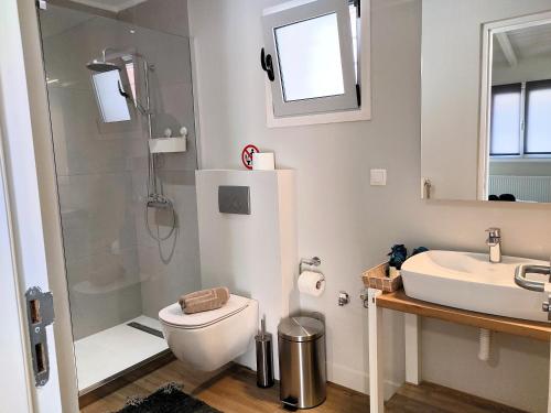 a bathroom with a shower and a toilet and a sink at Joanna Deluxe Apartments in Kynopiástai