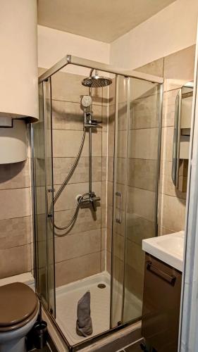 une douche avec une porte vitrée dans une salle de bain dans l'établissement Studio Soleil et Verdure - Montpellier Celleneuve, à Montpellier
