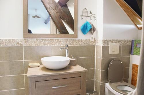 a bathroom with a sink and a toilet at Chambre d'hôtes proche du PAL-Badiane- in Saligny-sur-Roudon