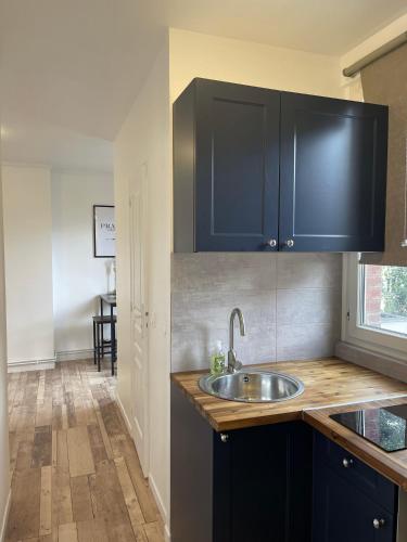 - une cuisine avec un évier et des placards bleus dans l'établissement Cosy Studio - near Paris, à Boulogne-Billancourt