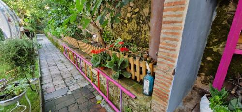 Сад в Sky Room - Carrara Bubble Room Tuscany Nel ex Convento delle Suore