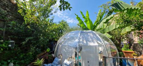 Сад в Sky Room - Carrara Bubble Room Tuscany Nel ex Convento delle Suore
