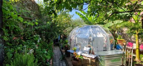 Сад в Sky Room - Carrara Bubble Room Tuscany Nel ex Convento delle Suore