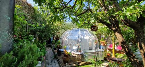 Сад в Sky Room - Carrara Bubble Room Tuscany Nel ex Convento delle Suore
