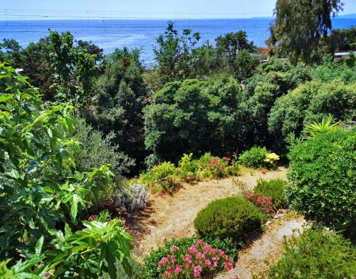 Villa du paradis
