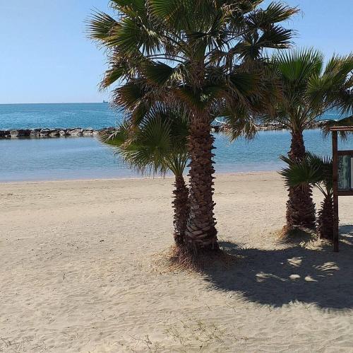 two palm trees on a sandy beach near the ocean at Casa Ferrari Vista Mare in Formia