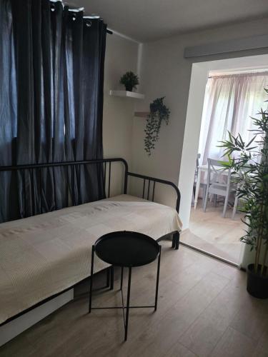 Paloma Bianca with big terrace