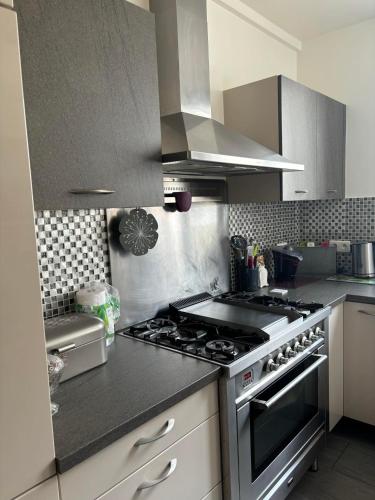 Il comprend une cuisine équipée d'une cuisinière en acier inoxydable. four supérieur dans l'établissement Appartement cosy vue sur la Seine, à Boulogne-Billancourt