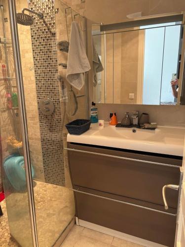 une salle de bain avec un lavabo et une douche dans l'établissement Appartement cosy vue sur la Seine, à Boulogne-Billancourt