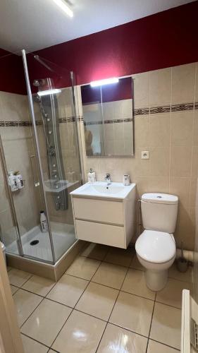une salle de bain avec toilettes, douche et lavabo dans l'établissement APT Subernoa, à Hendaye