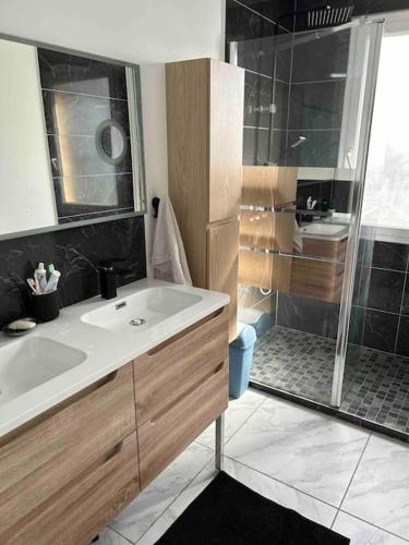 une salle de bain avec un lavabo et une douche dans l'établissement Jolie maison provençale au volets bleu, à Marseille