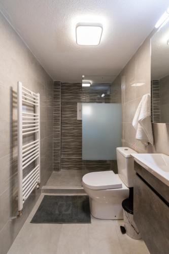 a bathroom with a toilet and a shower and a sink at Avli Home in Neos Marmaras