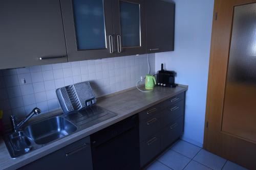 a kitchen with a sink and a counter top at Nestwerk Raumwunder K9-13 - Aufzug, viel Platz & am Wieland-Park in Biberach an der Riß
