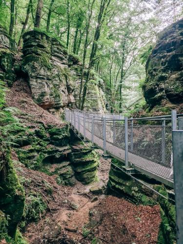 a bridge over a canyon with rocks and trees at Belle Tent - Camping Belle-Vue in Berdorf