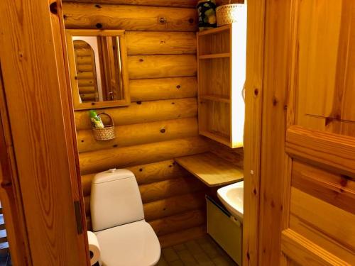 a small bathroom with a toilet and a sink at Villa Rukan Honka in Ruka