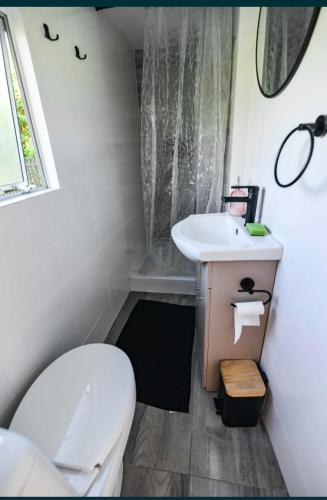 a small bathroom with a toilet and a sink at Domek na Roztoczu - Jacuzzi in Krasnobród