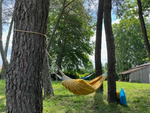 Κήπος έξω από το Hózhó Tempo - Sous les pins, Bed & Breakfast écofriendly & slowlife avec sauna