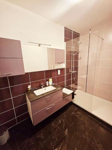 une salle de bain avec un lavabo et une douche dans l'établissement appartement calme, centre-ville, à Vendôme