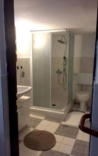 a bathroom with a shower and a toilet at Grandma's House Aliki Thassos in Alyki