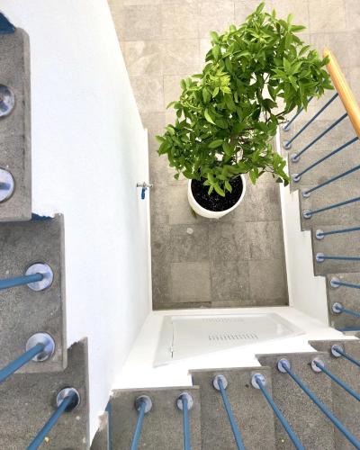 ChezmoiHomes PATIO de LUZ - Stylish apartments in Párraga 13