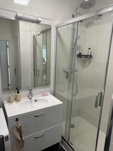 une salle de bain avec un lavabo et une douche en verre dans l'établissement Appartement proche de Tours, à Saint-Avertin