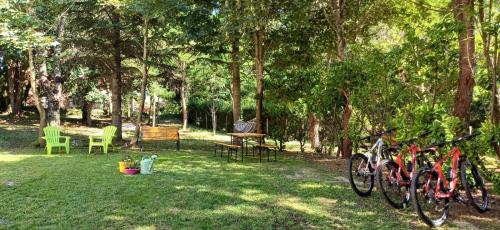 a group of bikes parked in a yard with trees at Casale Trifoglio in Morano Calabro