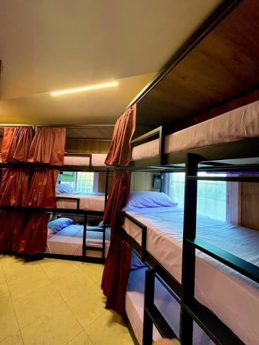 - un ensemble de 4 lits superposés dans une chambre dans l'établissement Hostel Vida Verde, à Madrid