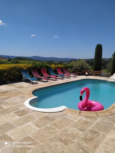 a pink swan in a swimming pool with chairs at La maison de Nazig in Pertuis
