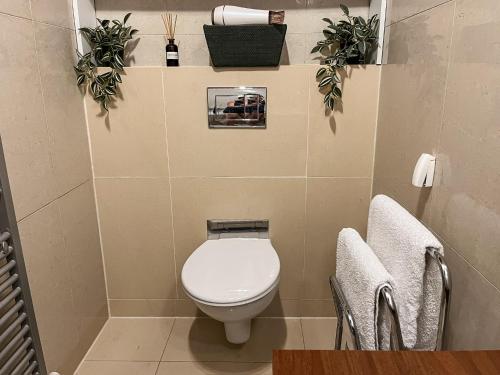 a bathroom with a toilet and plants on the wall at Tri Štíty Apartment with Tatra View Terrace in Veľká Lomnica